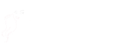The Beauty Room
